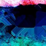 image: Image from the photoset &lsquo;damage (cvi)&rsquo;.