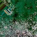 image: Image from the photoset &lsquo;damage (cvii)&rsquo;.