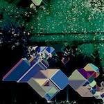 image: Image from the photoset &lsquo;damage (cviii)&rsquo;.