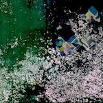 image: Image from the photoset &lsquo;damage (cviii)&rsquo;.