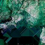 image: Image from the photoset &lsquo;damage (cviii)&rsquo;.