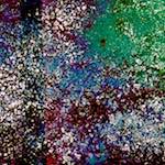 image: Image from the photoset &lsquo;damage (cx)&rsquo;.