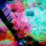 image: Image from the photoset &lsquo;damage (cx)&rsquo;.