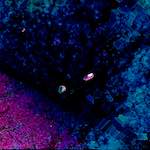 image: Image from the photoset &lsquo;damage (cxi)&rsquo;.