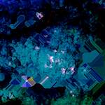 image: Image from the photoset &lsquo;damage (cxi)&rsquo;.