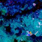 Third image from the photoset 'damage (cxii)'.