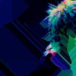 Sixth image from the photoset 'damage (cxii)'.