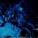 image: damage (cxiii) photoset