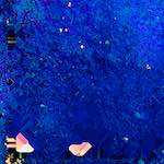 image: Image from the photoset &lsquo;damage (cxiv)&rsquo;.