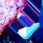 image: Image from the photoset &lsquo;damage (cxv)&rsquo;.