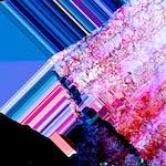 image: Image from the photoset &lsquo;damage (cxvi)&rsquo;.