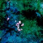 image: Image from the photoset &lsquo;damage (cxvii)&rsquo;.