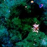 image: Image from the photoset &lsquo;damage (cxvii)&rsquo;.