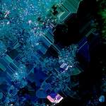 image: Image from the photoset &lsquo;damage (cxvii)&rsquo;.