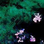 image: Image from the photoset &lsquo;damage (cxvii)&rsquo;.