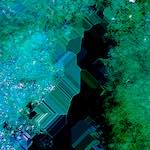 image: Image from the photoset &lsquo;damage (cxviii)&rsquo;.