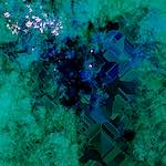 image: Image from the photoset &lsquo;damage (cxviii)&rsquo;.