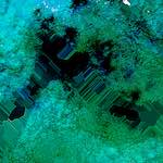 image: Image from the photoset &lsquo;damage (cxviii)&rsquo;.