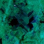 image: Image from the photoset &lsquo;damage (cxviii)&rsquo;.