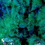 image: Image from the photoset &lsquo;damage (cxviii)&rsquo;.