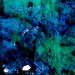 image: Image from the photoset &lsquo;damage (cxviii)&rsquo;.