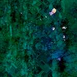 image: Image from the photoset &lsquo;damage (cxviii)&rsquo;.