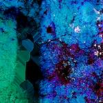 image: Image from the photoset &lsquo;damage (cxviii)&rsquo;.