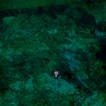 image: Image from the photoset &lsquo;damage (cxix)&rsquo;.