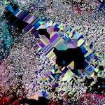 image: Image from the photoset &lsquo;damage (cxix)&rsquo;.