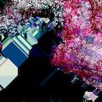 image: Image from the photoset &lsquo;damage (cxix)&rsquo;.