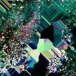 image: Image from the photoset &lsquo;damage (cxx)&rsquo;.