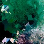 image: Image from the photoset &lsquo;damage (cxx)&rsquo;.