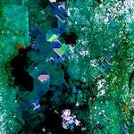 image: Image from the photoset &lsquo;damage (cxxiii)&rsquo;.