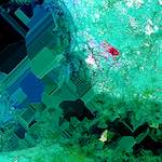 image: Image from the photoset &lsquo;damage (cxxv)&rsquo;.