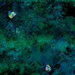 image: Image from the photoset &lsquo;damage (cxxv)&rsquo;.