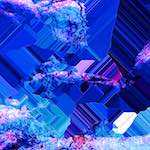 image: Image from the photoset &lsquo;damage (cxxviii)&rsquo;.