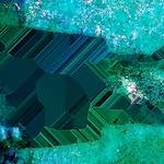 image: Image from the photoset &lsquo;damage (cxxxi)&rsquo;.