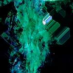 image: Image from the photoset &lsquo;damage (cxxxi)&rsquo;.