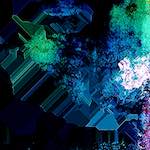 image: Image from the photoset &lsquo;damage (cxxxi)&rsquo;.