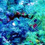 image: Image from the photoset &lsquo;damage (cxxxiii)&rsquo;.