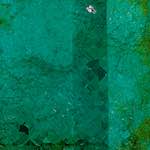 image: Image from the photoset &lsquo;damage (cxxxvi)&rsquo;.