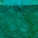 image: Image from the photoset &lsquo;damage (cxxxvi)&rsquo;.