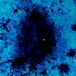 image: Image from the photoset &lsquo;damage (cxlviii)&rsquo;.