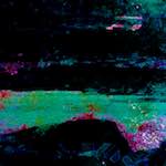 image: Image from the photoset &lsquo;damage (cxxxix)&rsquo;.