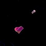 image: Image from the photoset &lsquo;damage (cxxxix)&rsquo;.