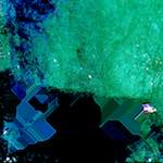 image: Image from the photoset &lsquo;damage (cxl)&rsquo;.