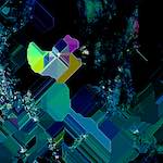 Eighth image from the photoset 'damage (cxlii)'.