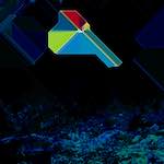 Image: damage (cxliv) photoset