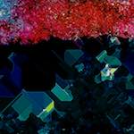 Image: Fifth image from the photoset 'damage (cxliv)'.