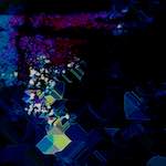 Sixth image from the photoset 'damage (cxlvi)'.